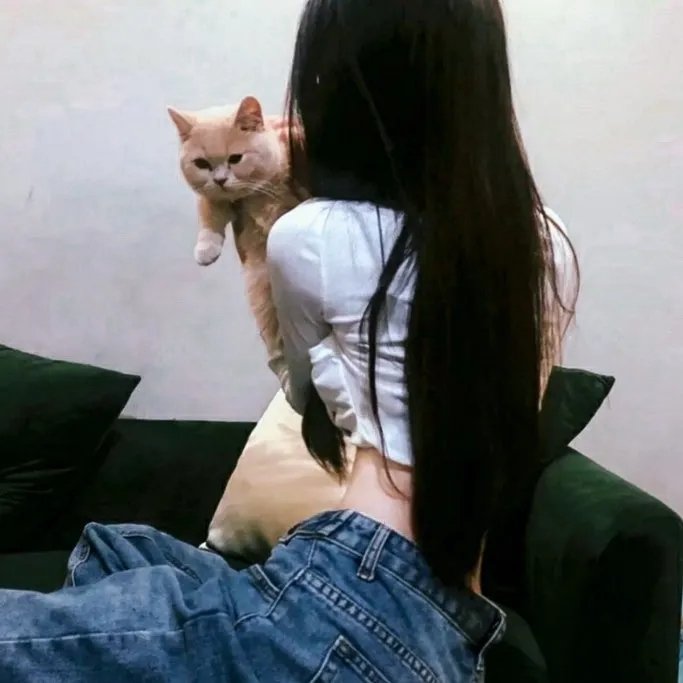 舞浪狂潮